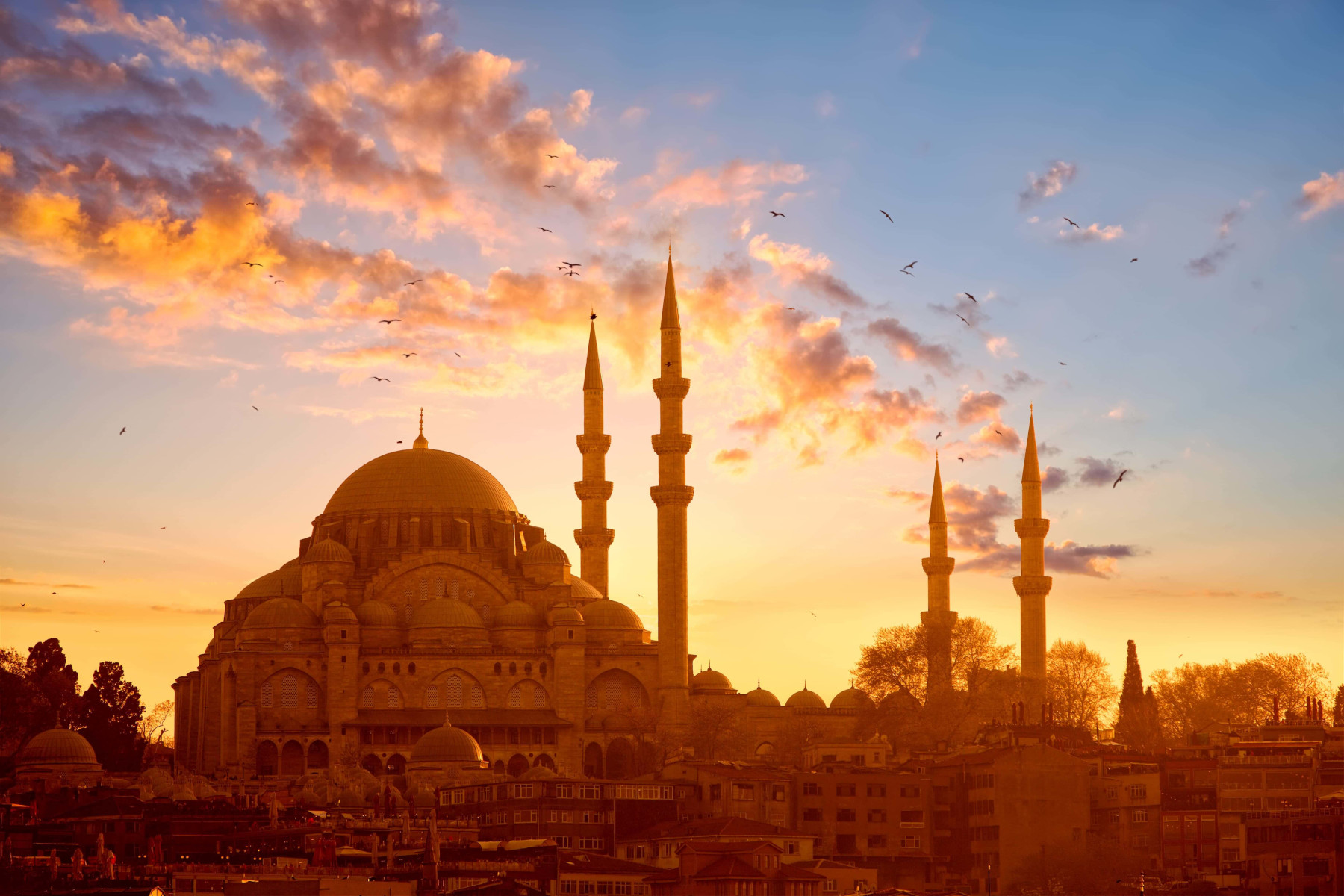 Süleymaniye Camii - Caraj